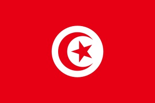 320px Flag of Tunisia